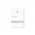 Custom Branded Moleskine Notebooks