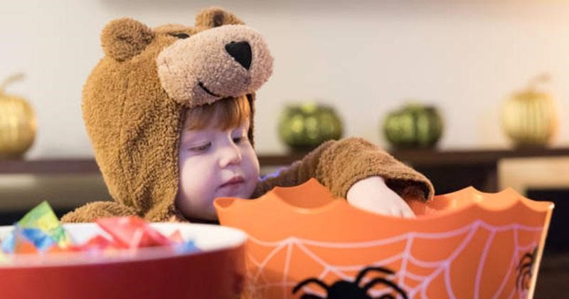 Boy dressed as a bear with Halloween candy bowl