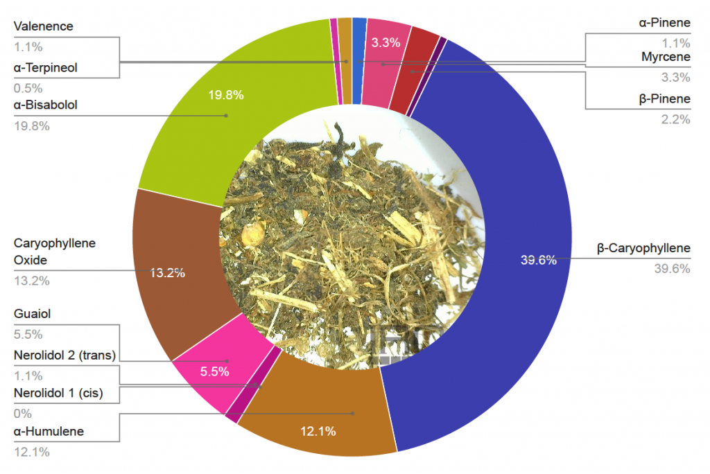 This image has an empty alt attribute; its file name is terpense-report-iec-thermo-3-1024x684.png