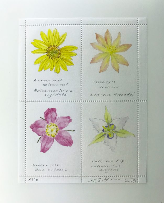 Sarah Horowitz artist stamp